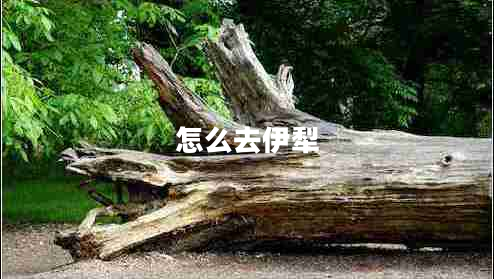 怎么去伊犁 怎么去伊犁