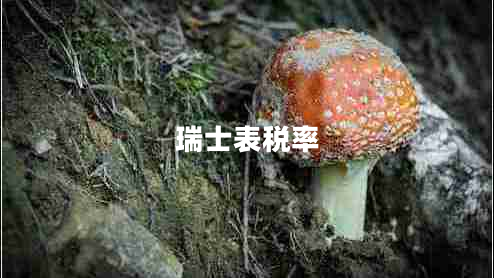 瑞士表稅率 瑞士表稅率