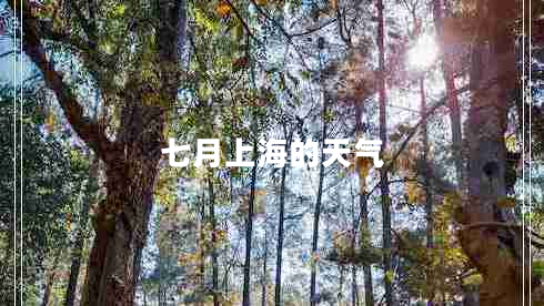 七月上海的天氣