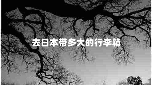 去日本帶多大的行李箱