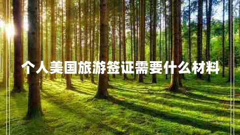 個人美國旅游簽證需要什么材料