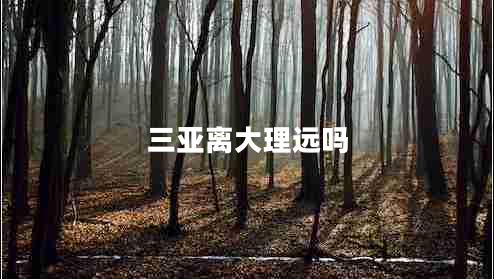 三亞離大理遠(yuǎn)嗎