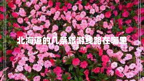 北海道的幾條旅游線路在哪里