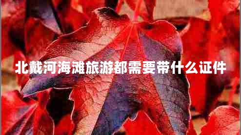北戴河海灘旅游都需要帶什么證件