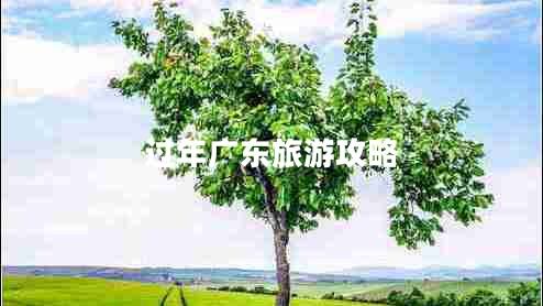 過年廣東旅游攻略 過年廣東旅游攻略