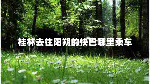 桂林去往陽朔的快巴哪里乘車