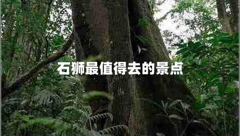 石獅最值得去的景點(diǎn)