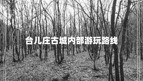 臺兒莊古城內(nèi)部游玩路線