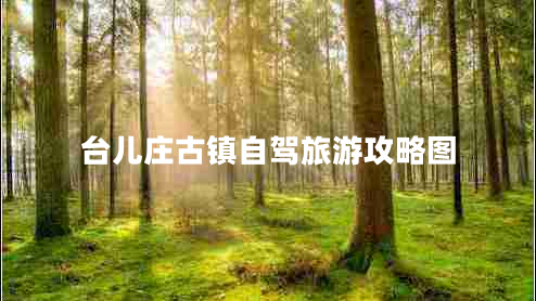 臺(tái)兒莊古鎮(zhèn)自駕旅游攻略圖