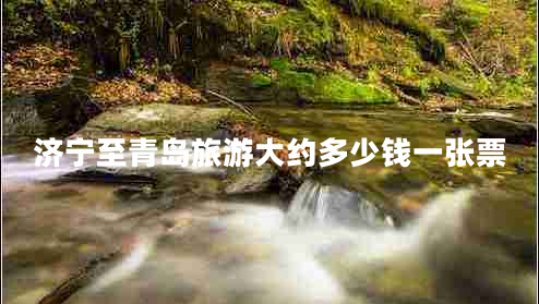 濟寧至青島旅游大約多少錢一張票