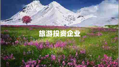 旅游投資企業(yè)