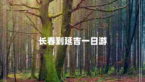 長春到延吉一日游 長春到延吉一日游