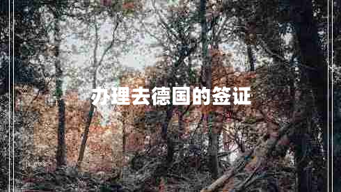 辦理去德國(guó)的簽證 辦理去德國(guó)的簽證