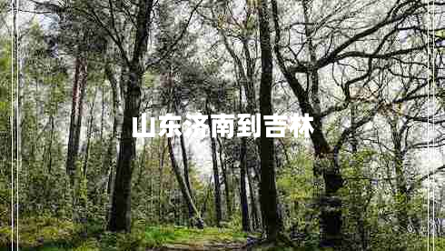 山東濟(jì)南到吉林