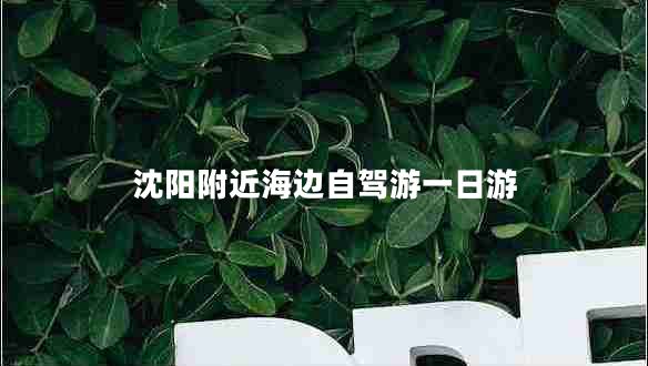 沈陽附近海邊自駕游一日游 沈陽附近海邊自駕游一日游