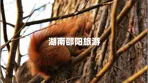 湖南邵陽旅游 湖南邵陽旅游