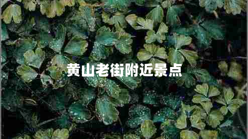 黃山老街附近景點 黃山老街附近景點