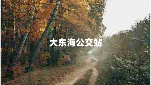 大東海公交站