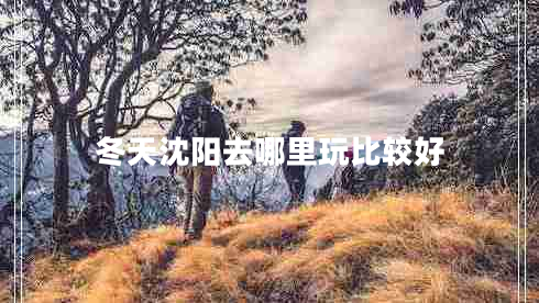 冬天沈陽去哪里玩比較好