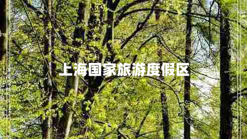 上海國(guó)家旅游度假區(qū)