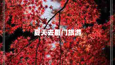 夏天去廈門旅游 夏天去廈門旅游