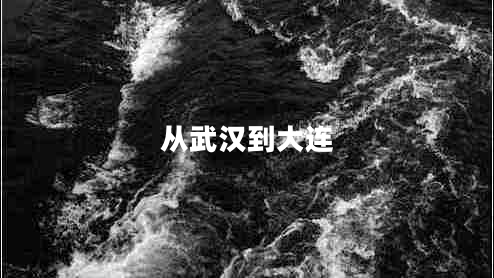 從武漢到大連 從武漢到大連