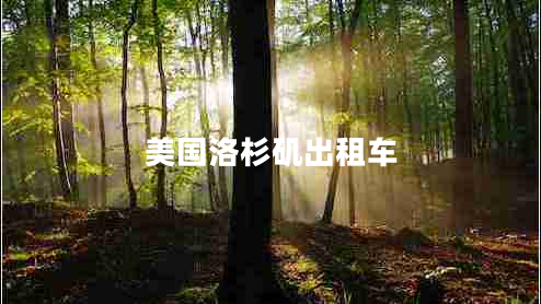 美國(guó)洛杉磯出租車