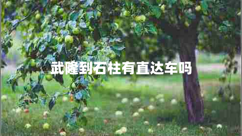 武隆到石柱有直達車嗎