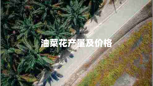 油菜花產量及價格