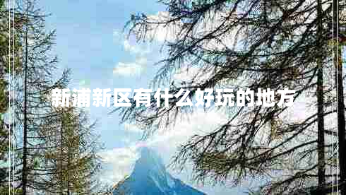 新浦新區(qū)有什么好玩的地方