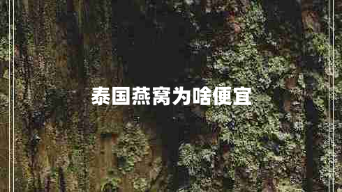 泰國燕窩為啥便宜 泰國燕窩為啥便宜