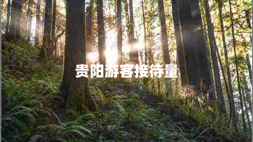 貴陽游客接待量 貴陽游客接待量