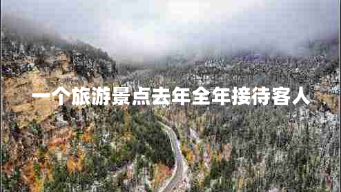 一個旅游景點去年全年接待客人