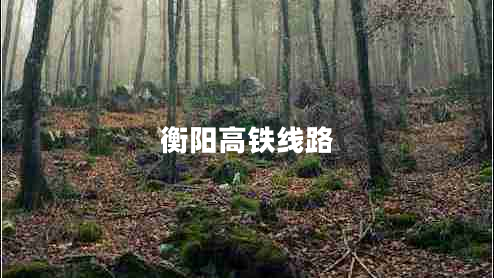 衡陽(yáng)高鐵線路