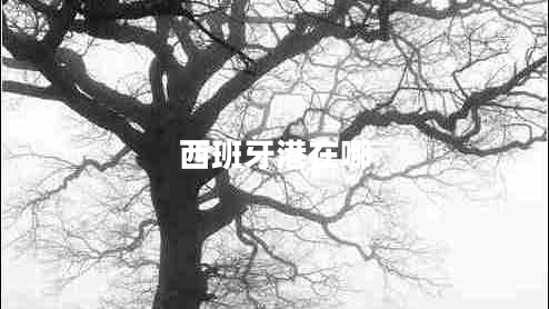 西班牙港在哪 西班牙港在哪