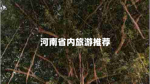 河南省內(nèi)旅游推薦