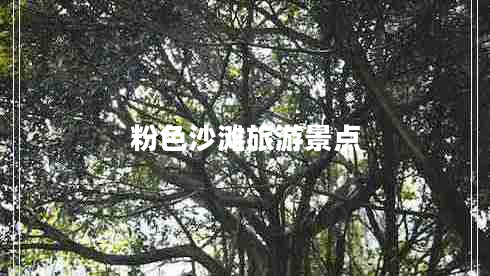 粉色沙灘旅游景點