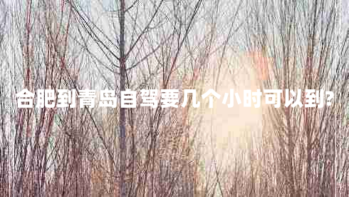 合肥到青島自駕要幾個小時可以到? 合肥到青島自駕要幾個小時可以到?
