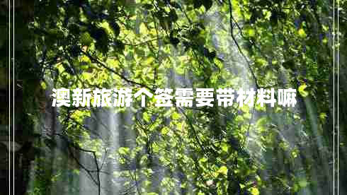 澳新旅游個簽需要帶材料嘛 澳新旅游個簽需要帶材料嘛