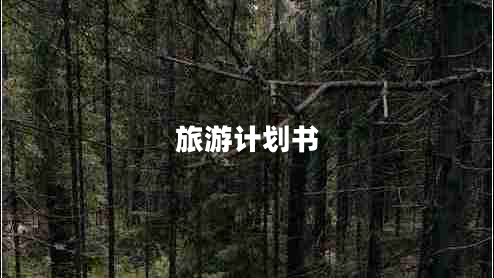 旅游計劃書 旅游計劃書