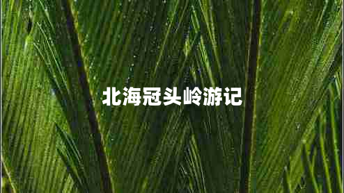 北海冠頭嶺游記