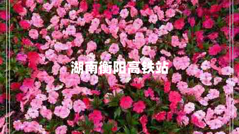 湖南衡陽高鐵站 湖南衡陽高鐵站