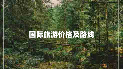 國(guó)際旅游價(jià)格及路線