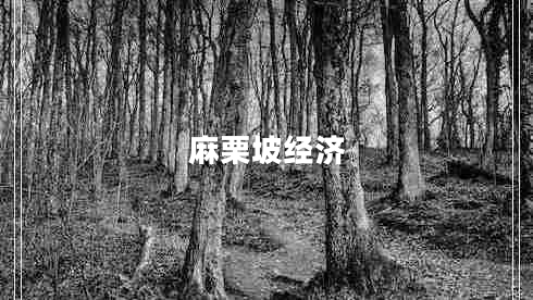 麻栗坡經(jīng)濟(jì)