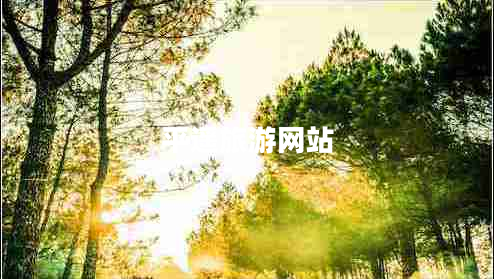 平遙旅游網(wǎng)站