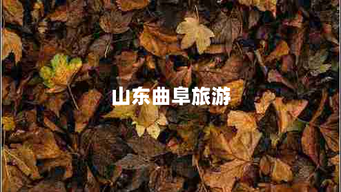 山東曲阜旅游 山東曲阜旅游