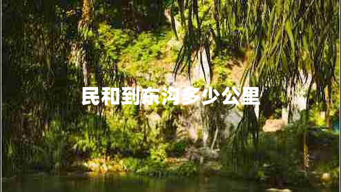 民和到東溝多少公里