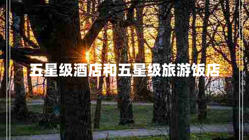 五星級酒店和五星級旅游飯店