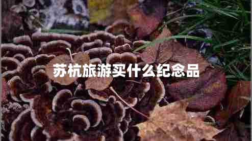 蘇杭旅游買什么紀(jì)念品