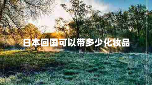 日本回國可以帶多少化妝品